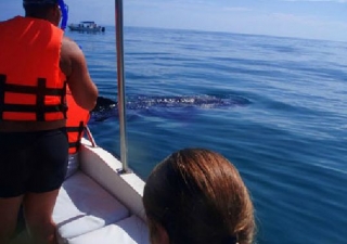 Expedicion de snorkel